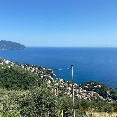 Casa Da Lira Apartment Poggio Favaro-San Bernardo Екстериор снимка